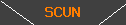 Code: SCUN
